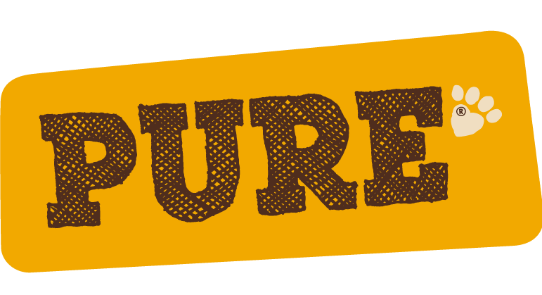 Pure logo