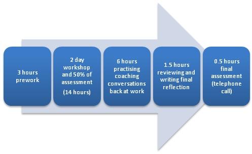 ELECTRIC programme structure