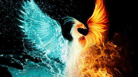 pheonix