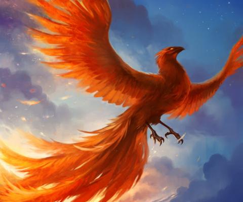 pheonix